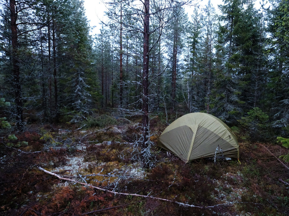  camping north of the polar circle. 