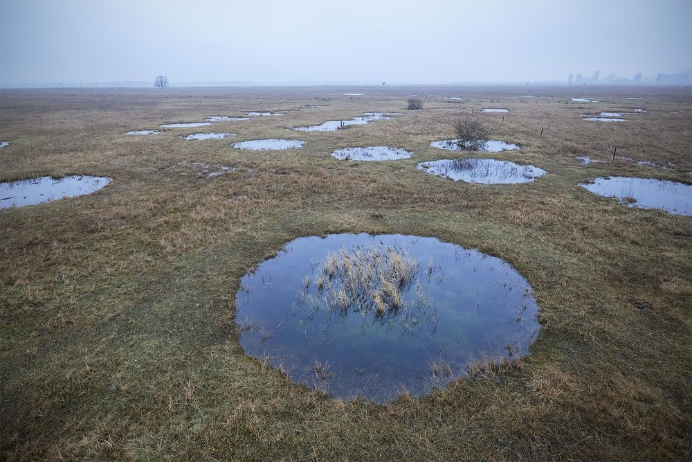  The pond network created by World War II bomb crators. 