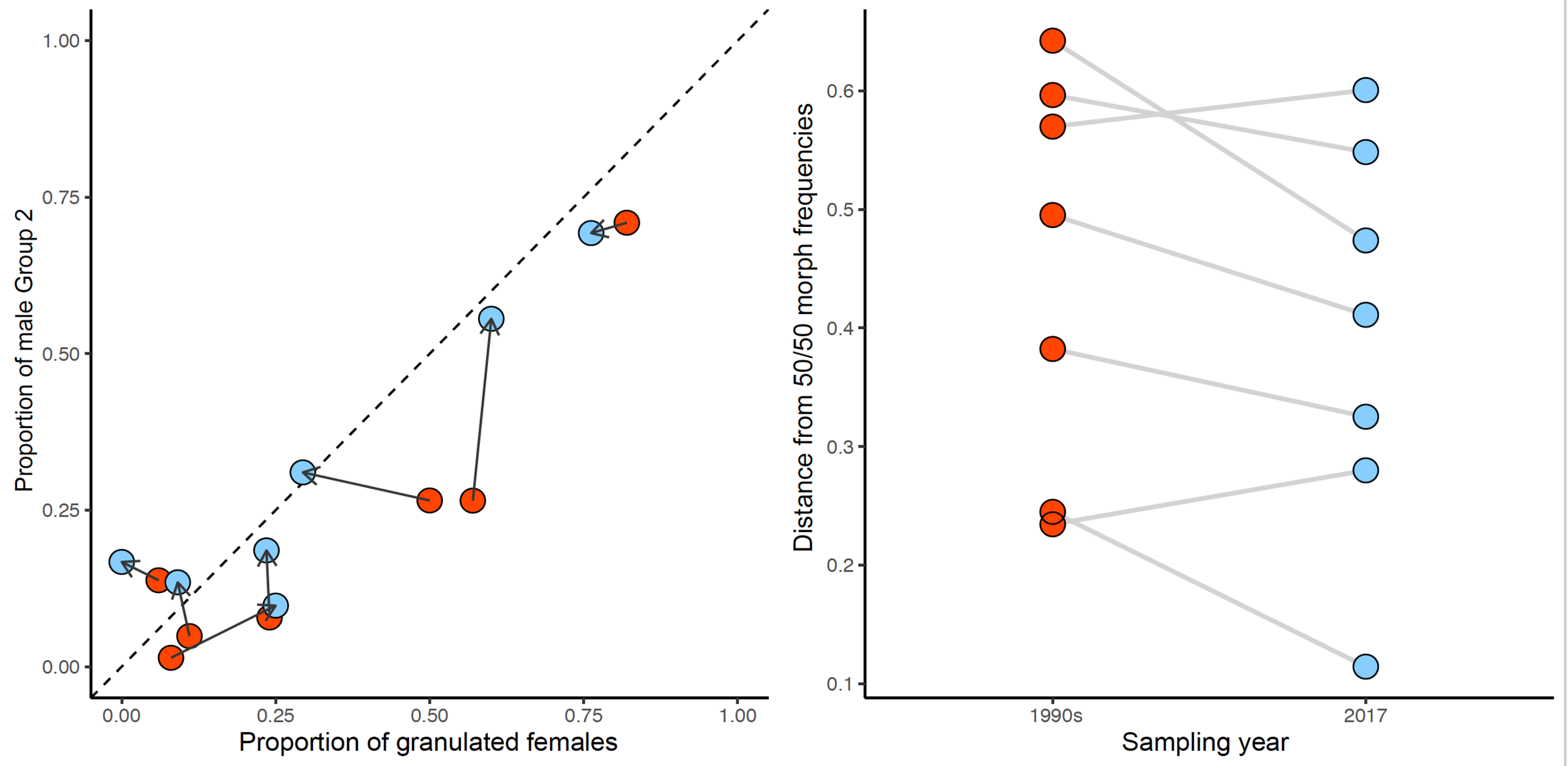 Evolutionary dynamics of male and female morph frequencies in Graphoderus zonatuspolymorphism . Left: Change in the proportion of male and female morphs from 1990s (red) to 2017 (blue) in seven populations. The dotted line depicts a saturated morph correlation. Right: Distance from observed proportions of male and female morphs to the 0.5/0.5 equilibrium point in the 1990s (red) and 2017 (blue). The average distance to the predicted equilibrium point decreased during the study period, consistent with equal fitness of all morphs, frequency-dependent sexual conflict selection and assortative mating maintaining both male and female morphs locally.