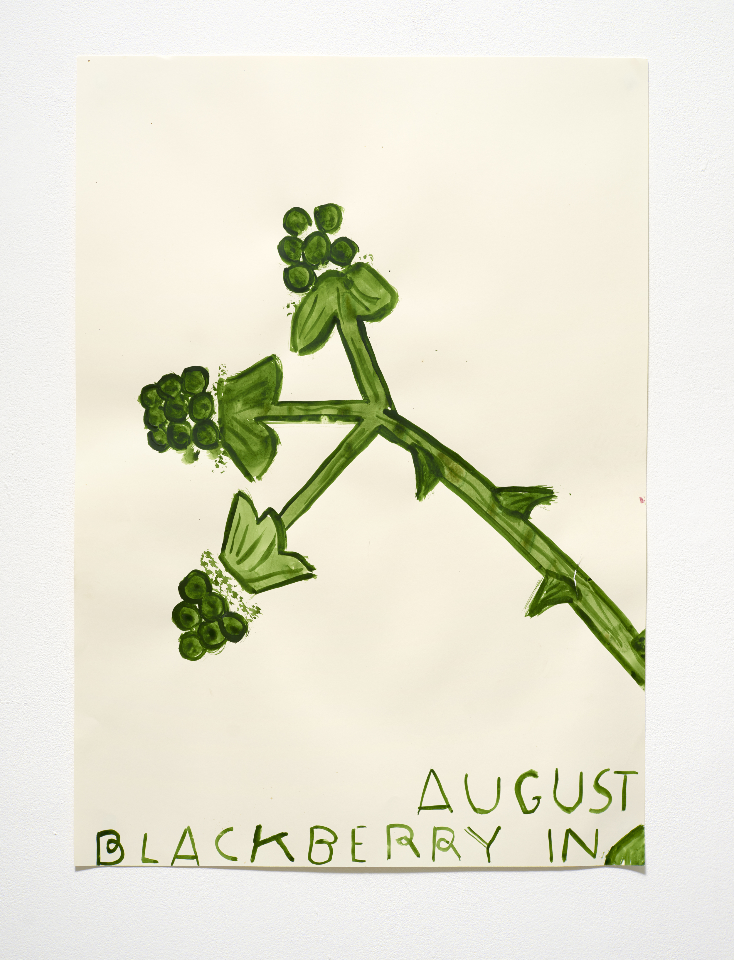 八月的黑莓 Blackberry in August (2015)