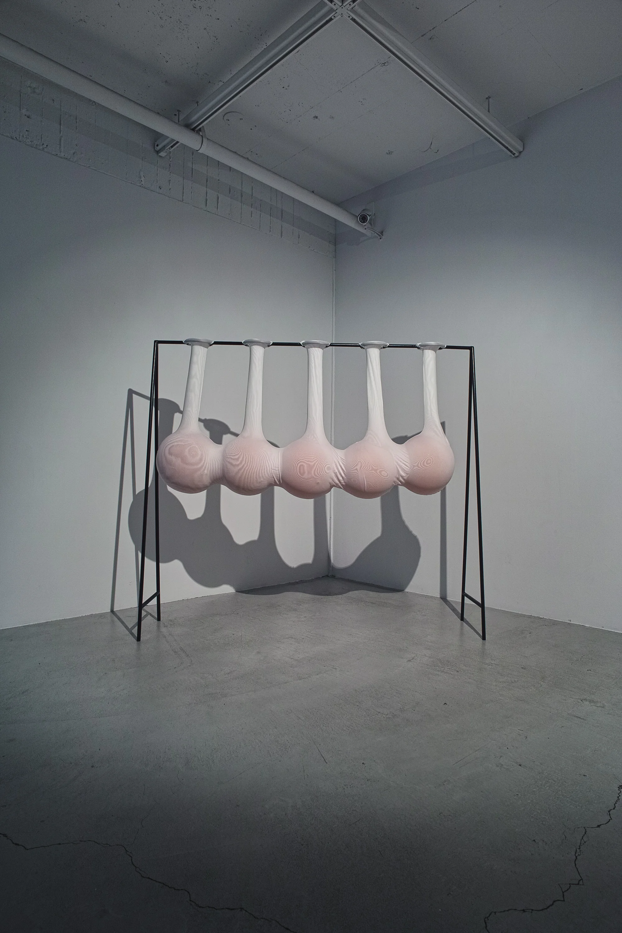 過分餵食的心肝 Overfed Liver (2015)