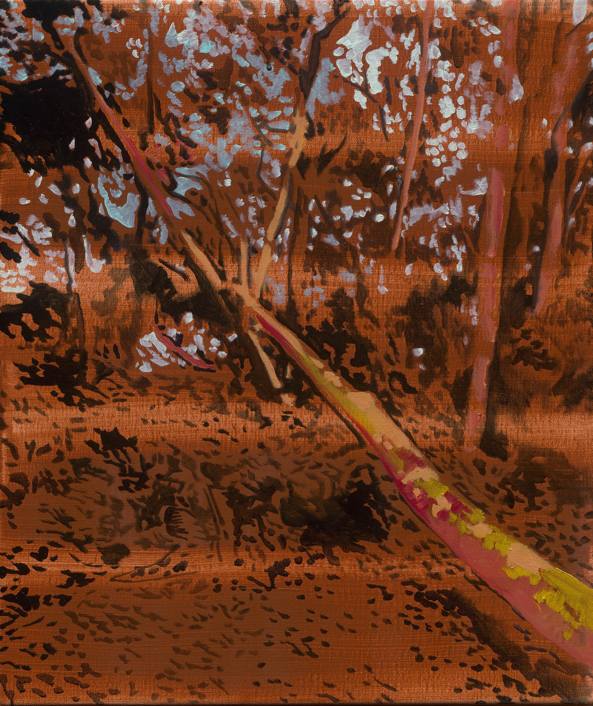 樹影|The Shadow of Tree