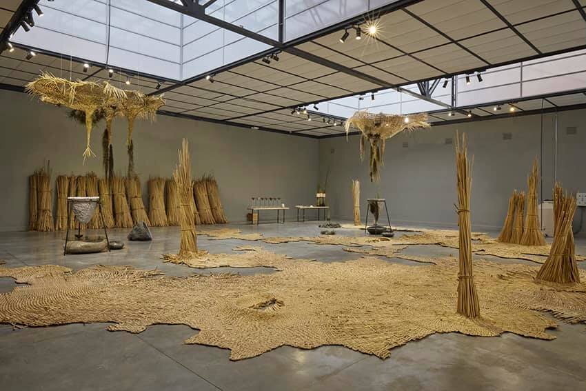 Ana Teresa Barboza "Ecosistema del Agua" (2019)