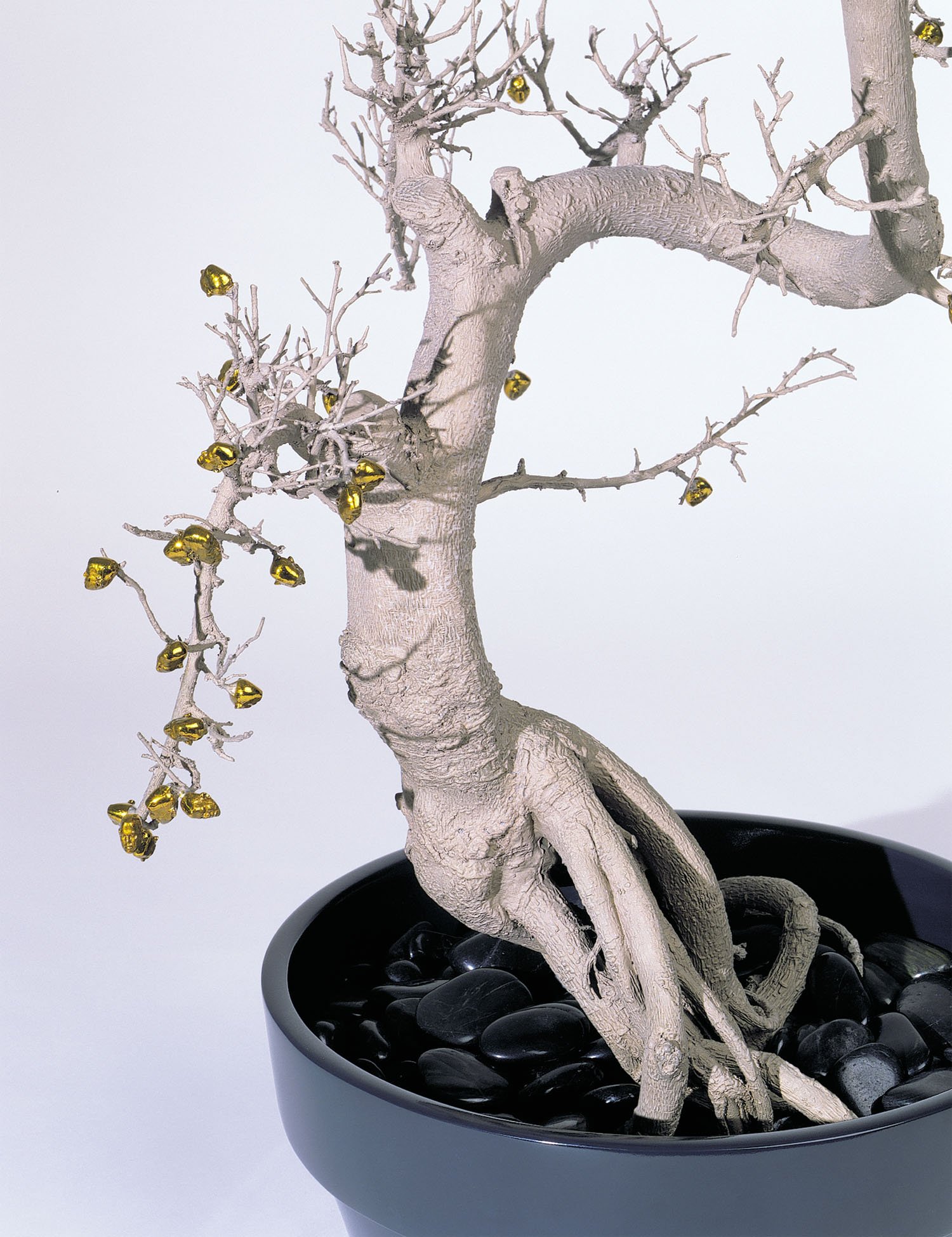 Fukien Tea, 2003