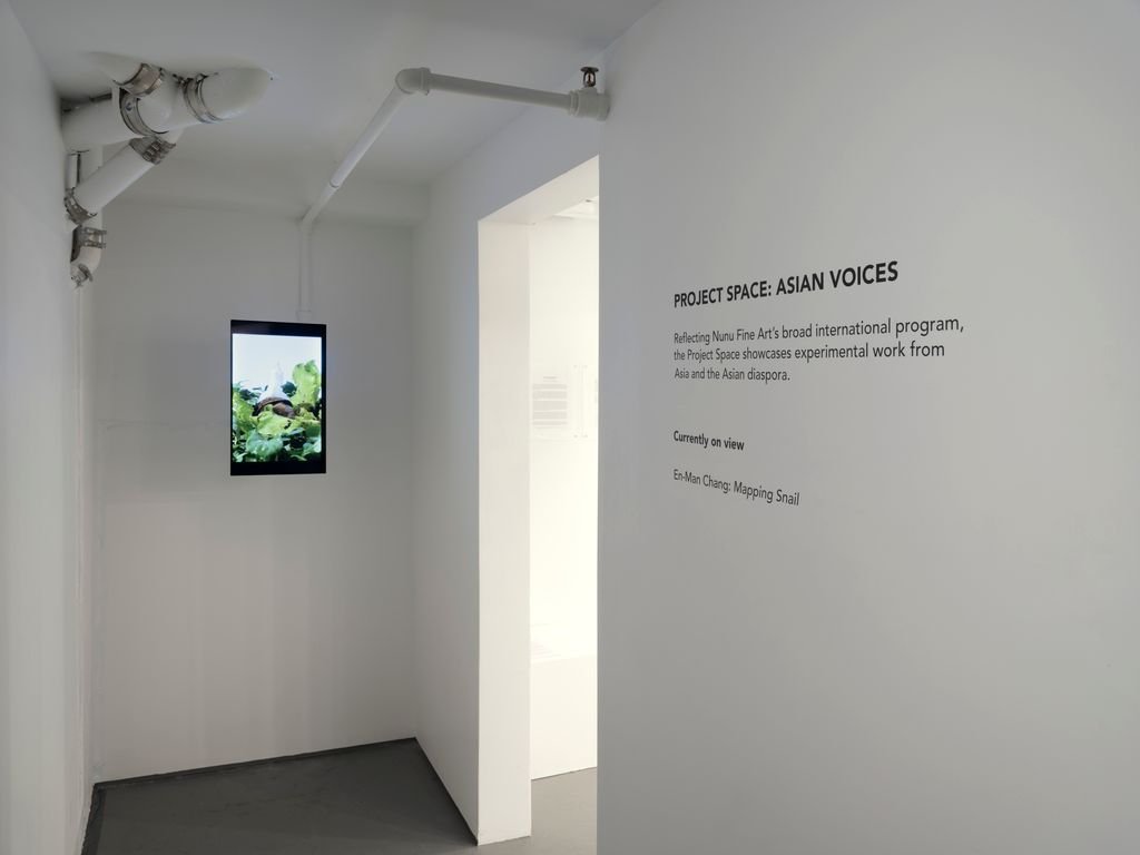 Nunu Fine Art New York | Project Space