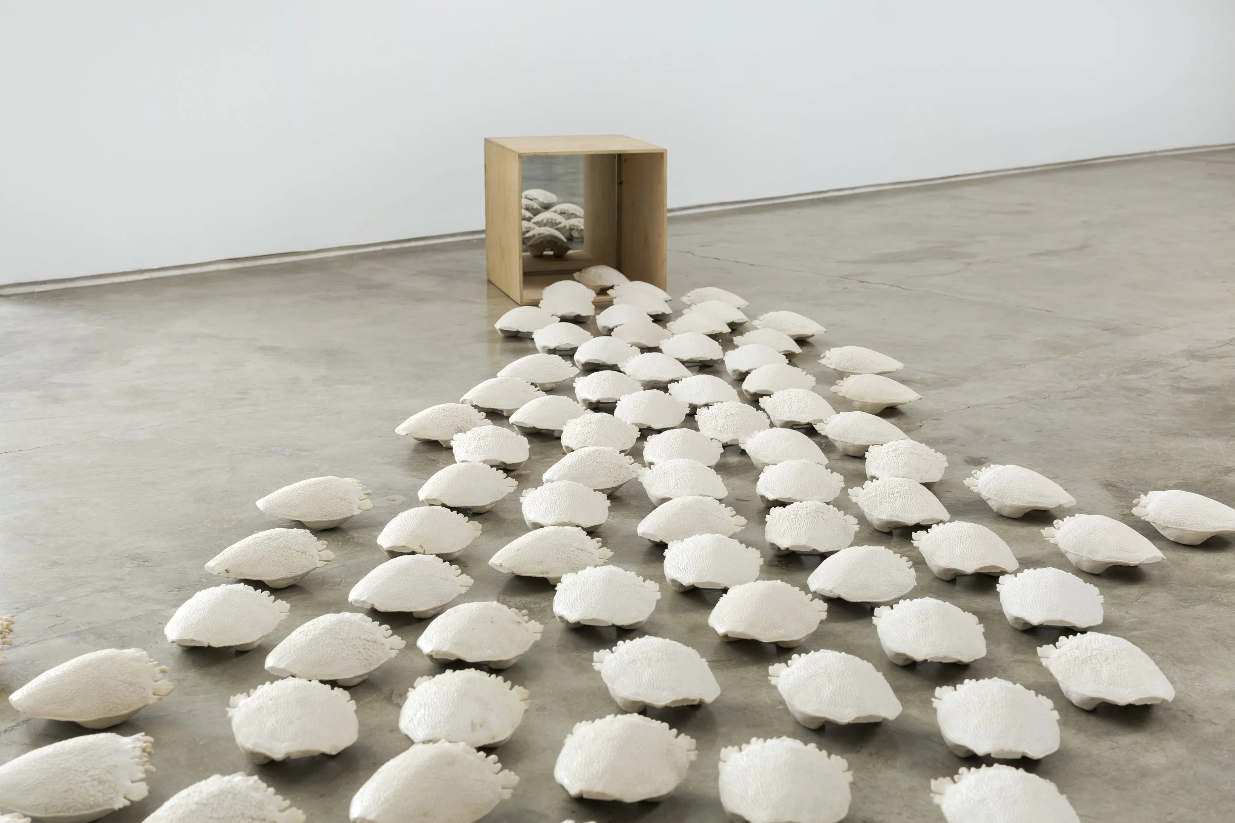 Assembly Line, 2025​