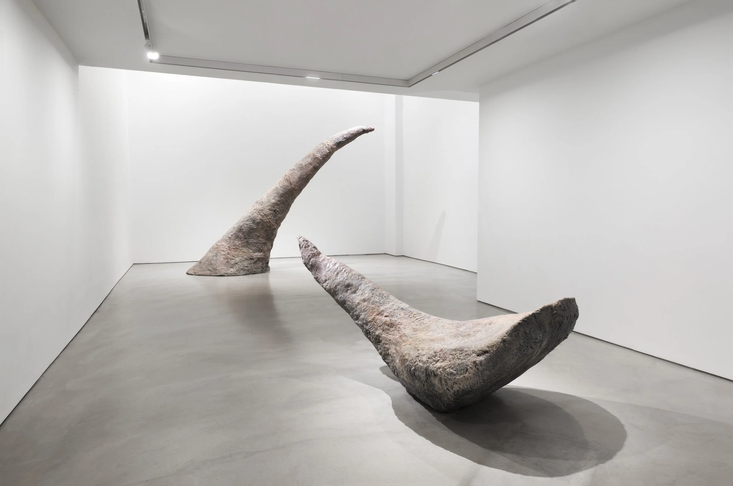  Installation view by Martin Seck 