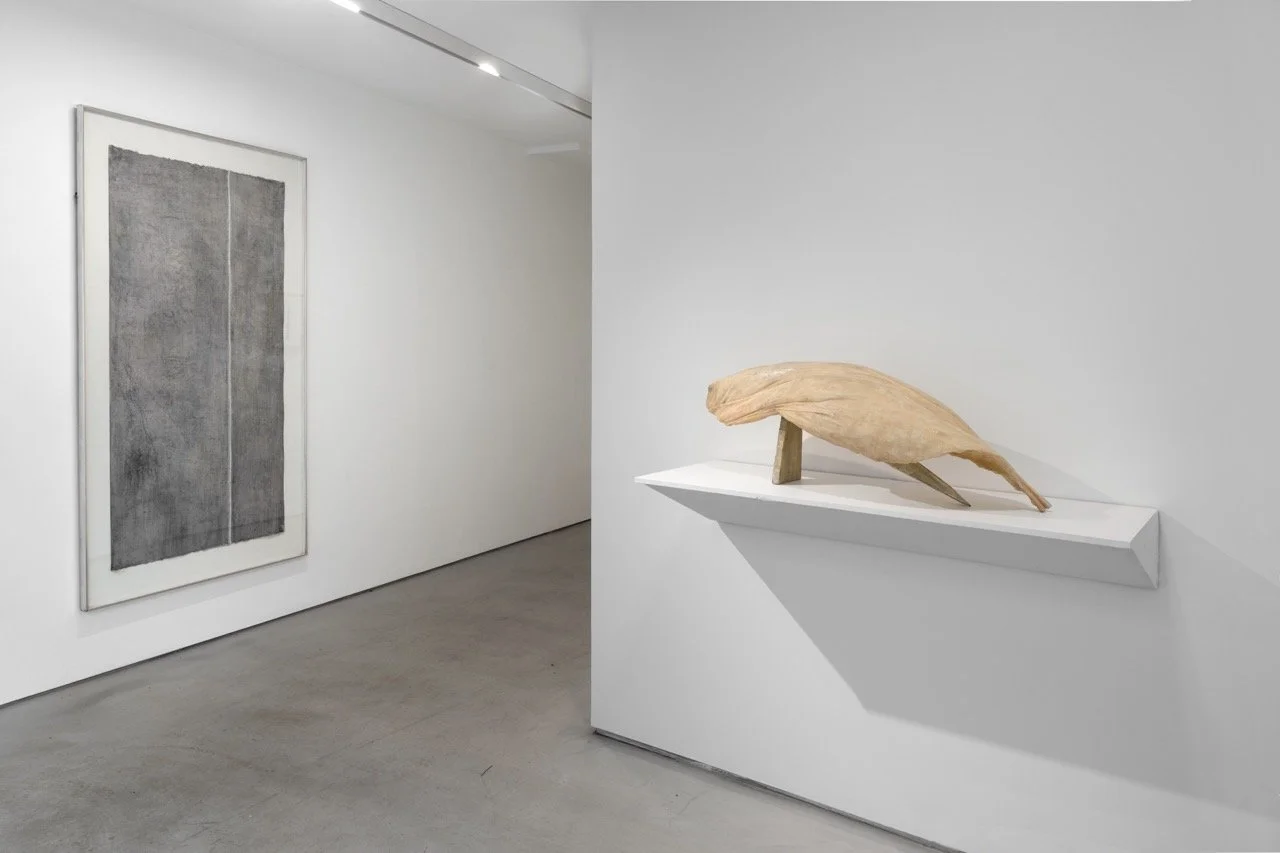  Installation view by Martin Seck 