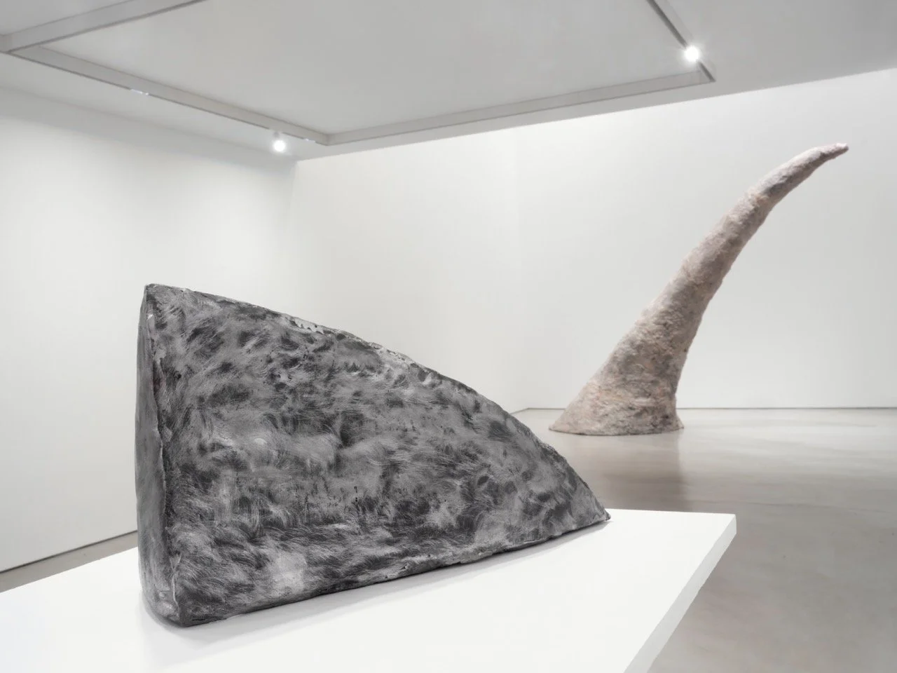  Installation view by Martin Seck 