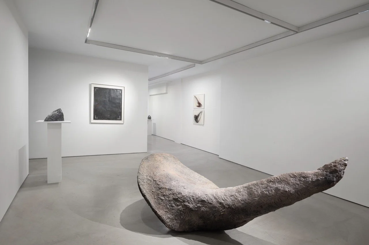  Installation view by Marin Seck 