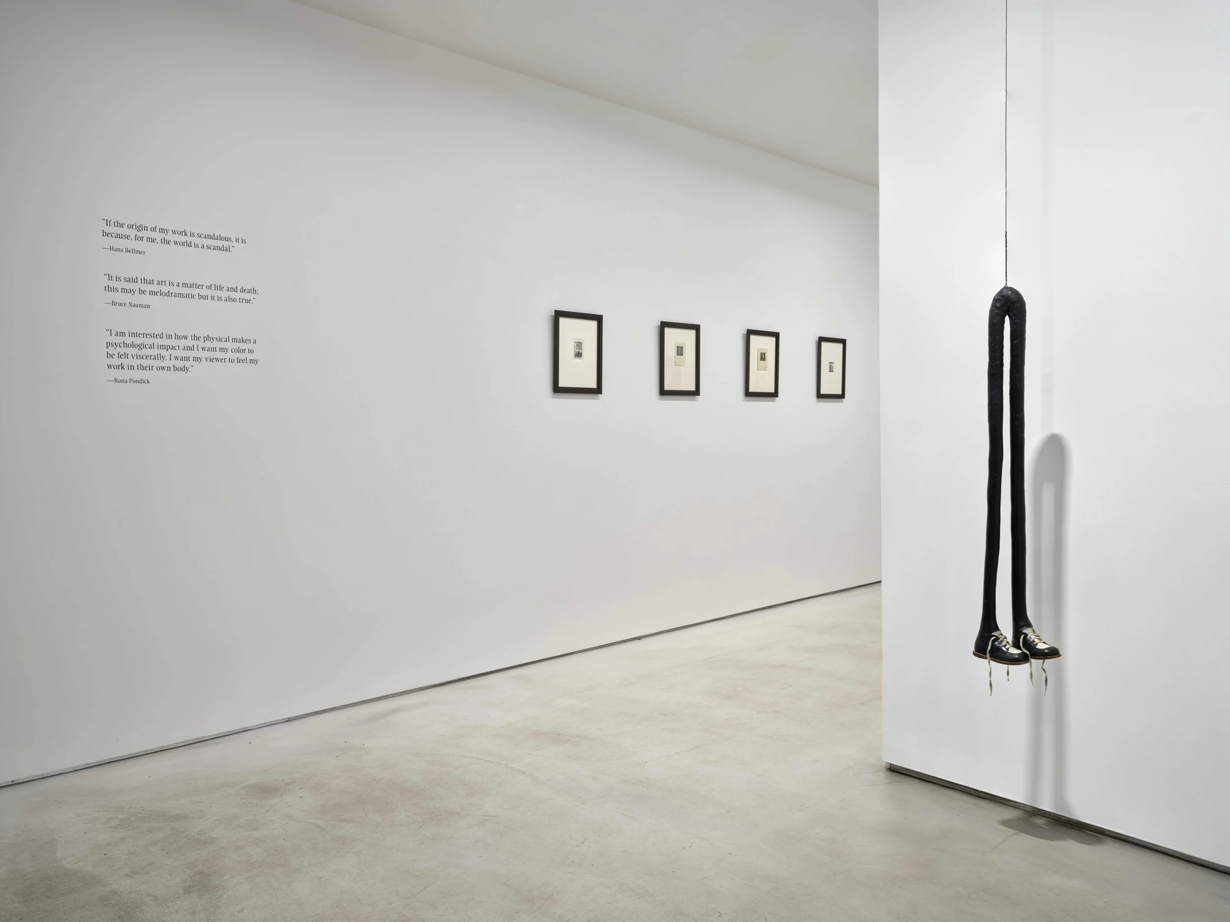  Photo by Martin Seck 