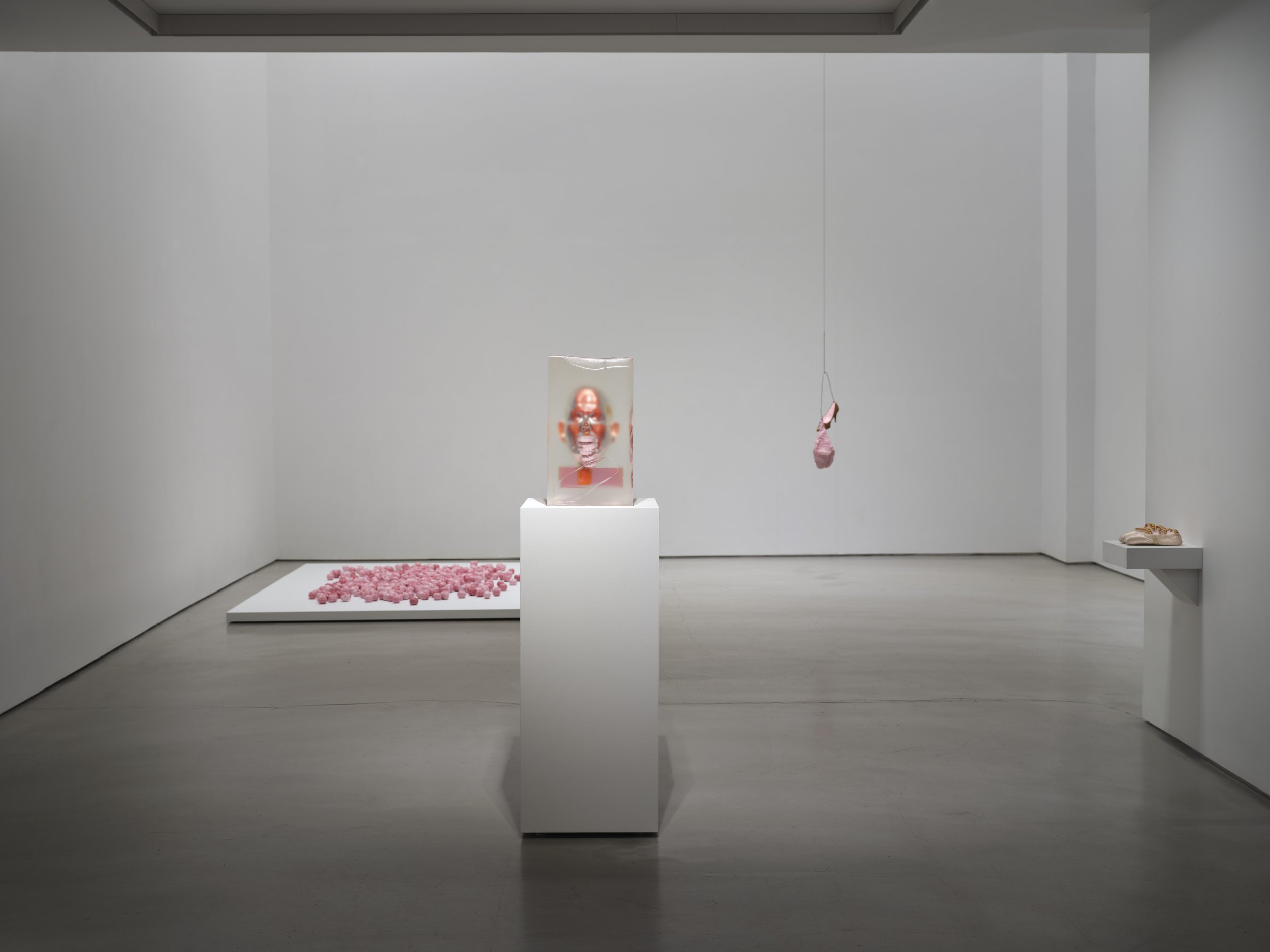  Photo by Martin Seck 