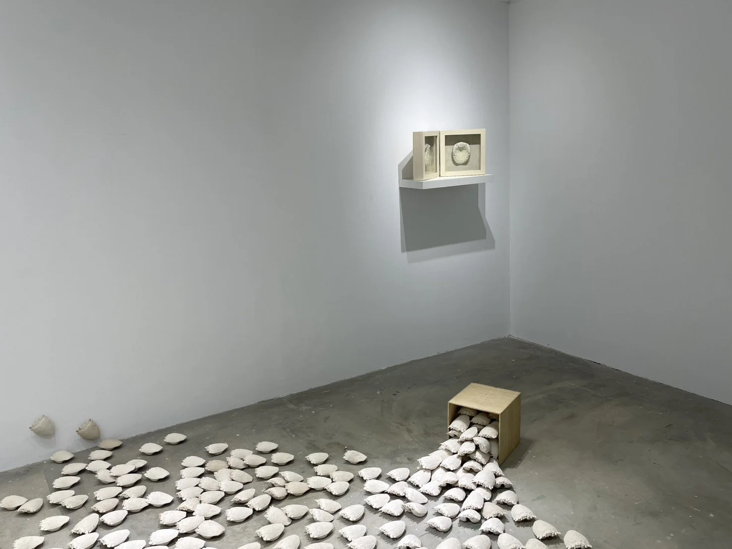  Installation view 