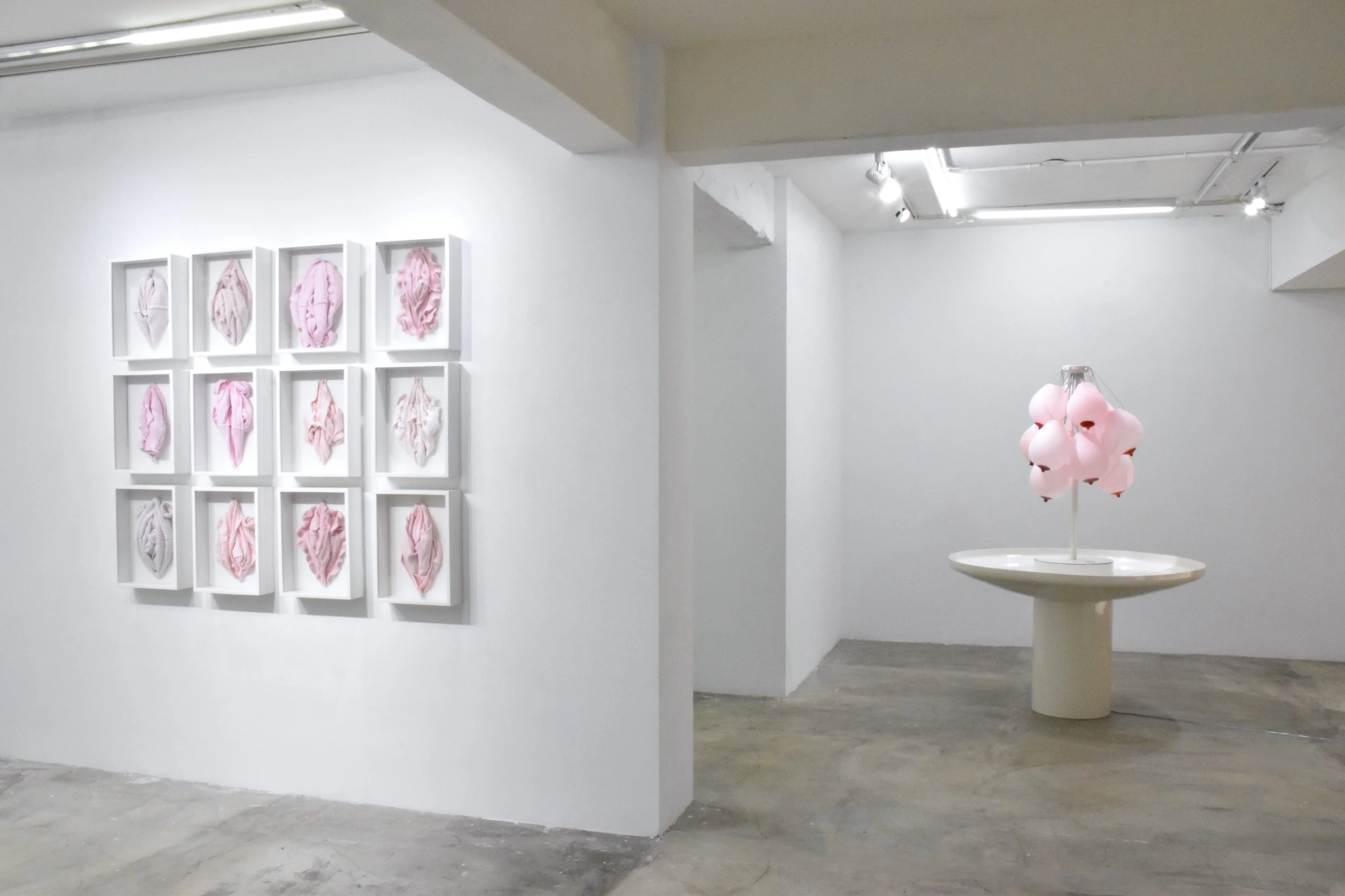  Installation view 