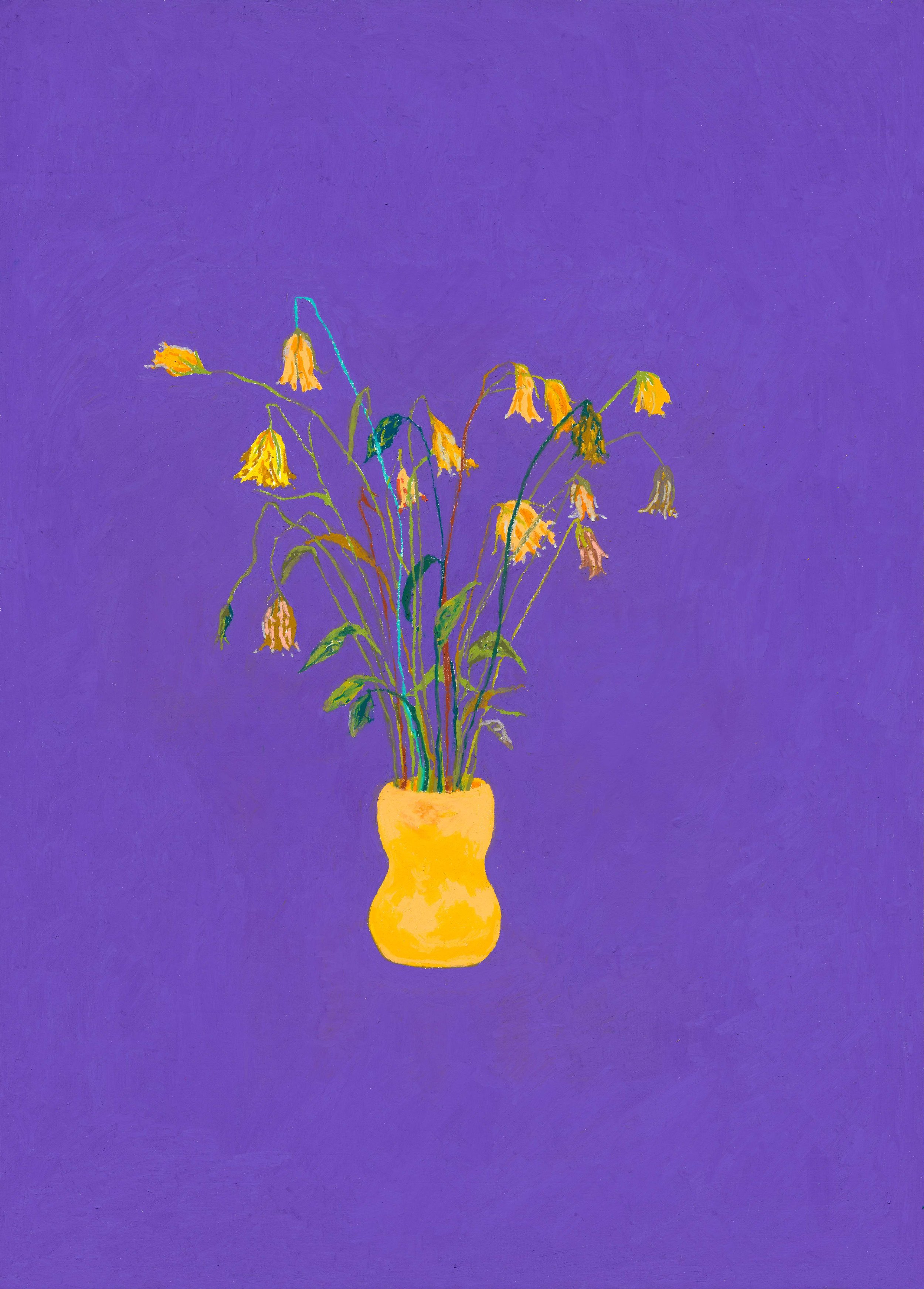 Wisteria Violet and Okra Yellow, 2026