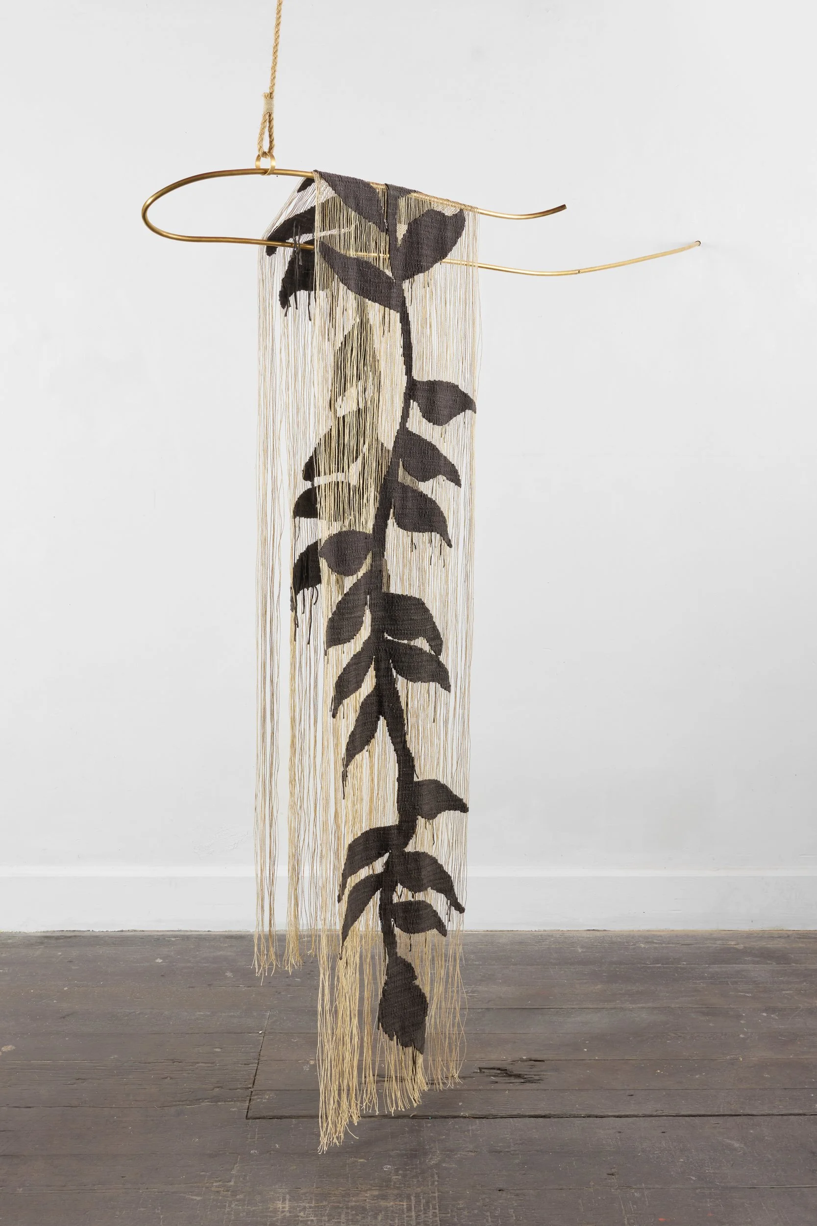 Ave del paraíso/Bird of Paradise, 2026