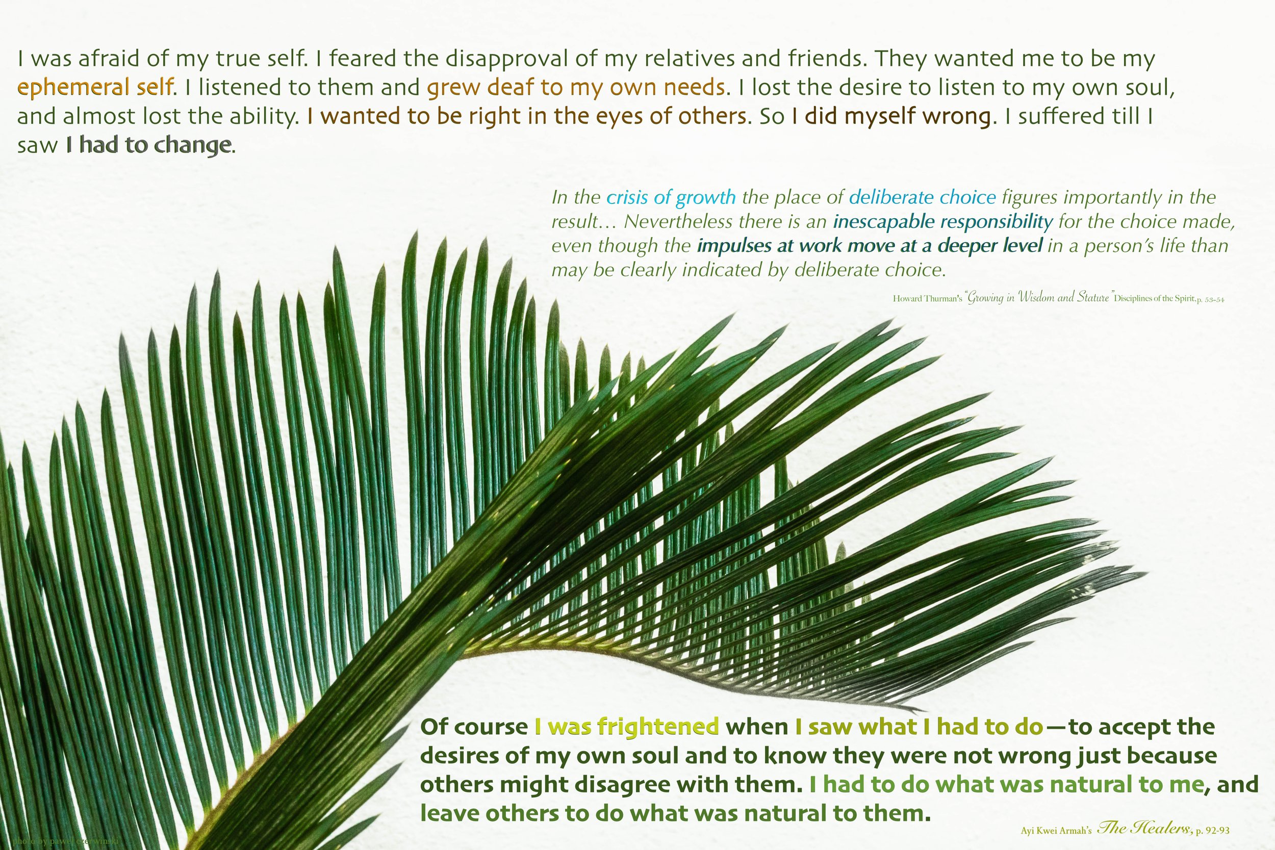 Healing the Natural Me: Growing in Wisdom and Stature