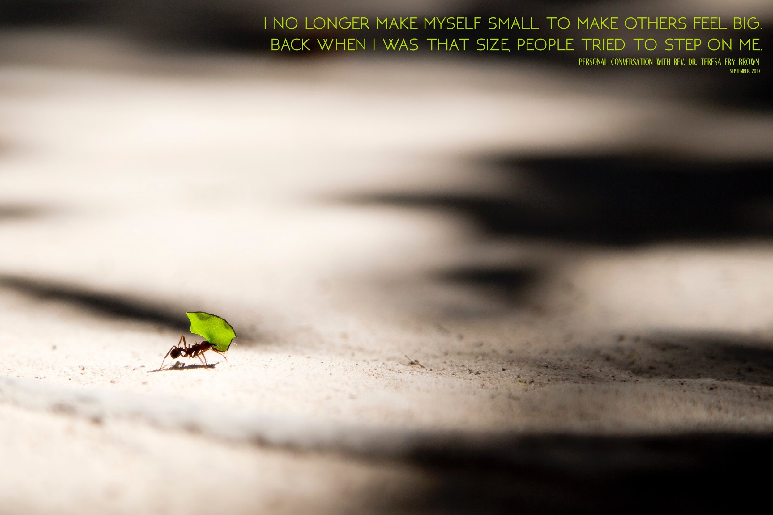 On Being Small