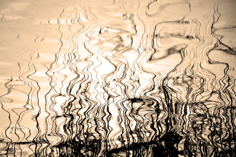 img_0806 - version 2.tiff copy