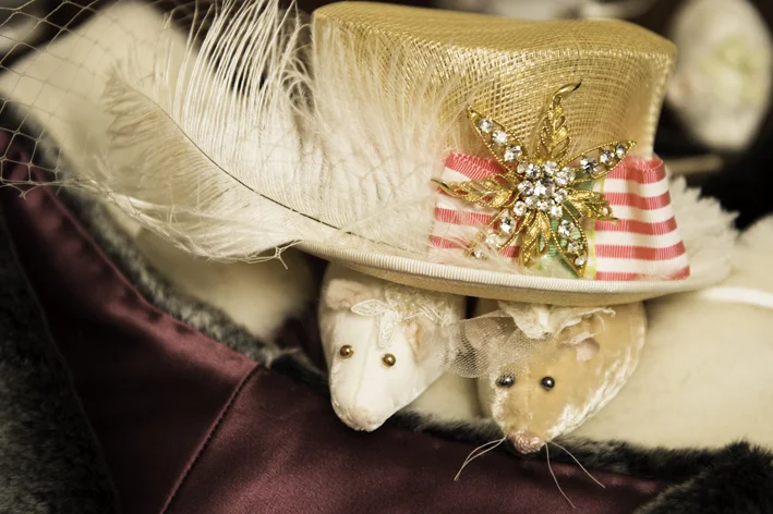 Mice and Hat.jpg