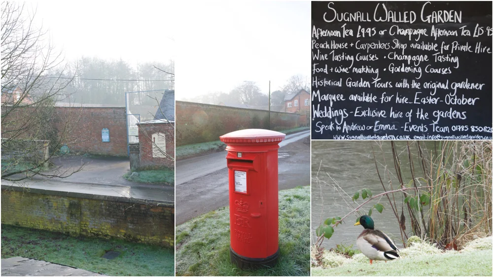 Sugnall Walled Garden Collage.jpg