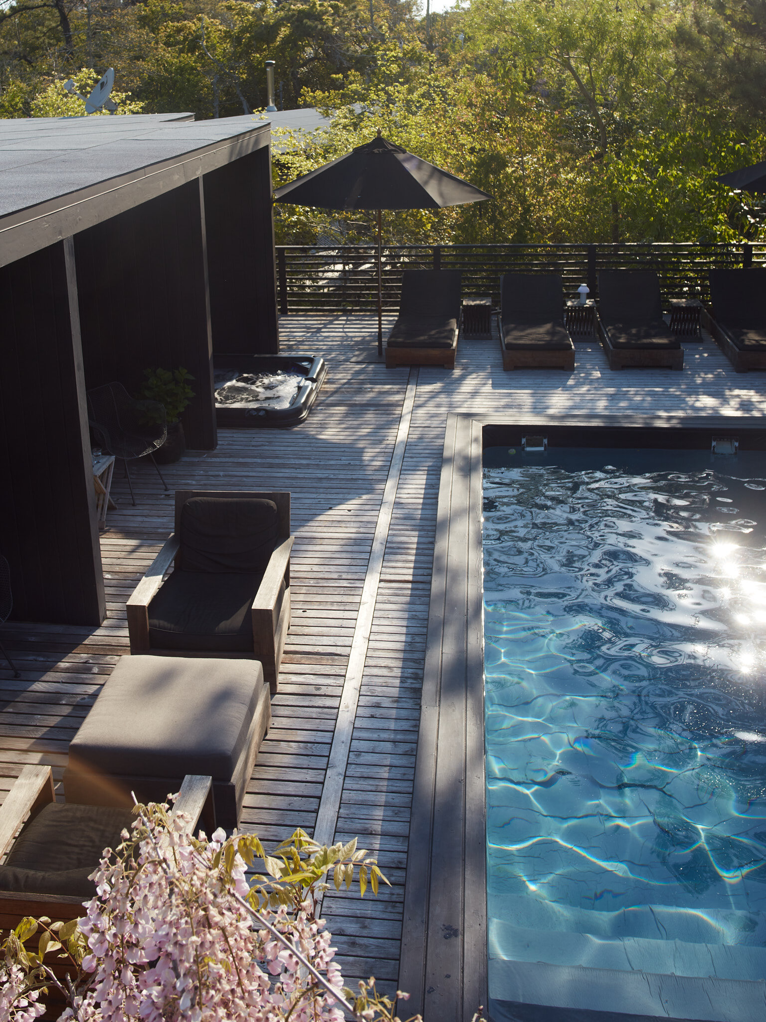 Backyard_0004.jpg