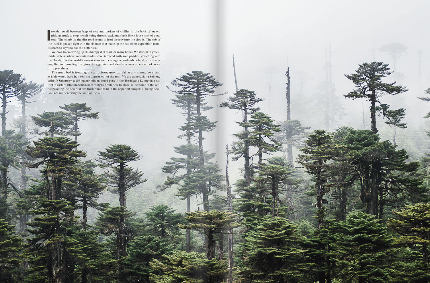 Sidetracked Magazine
