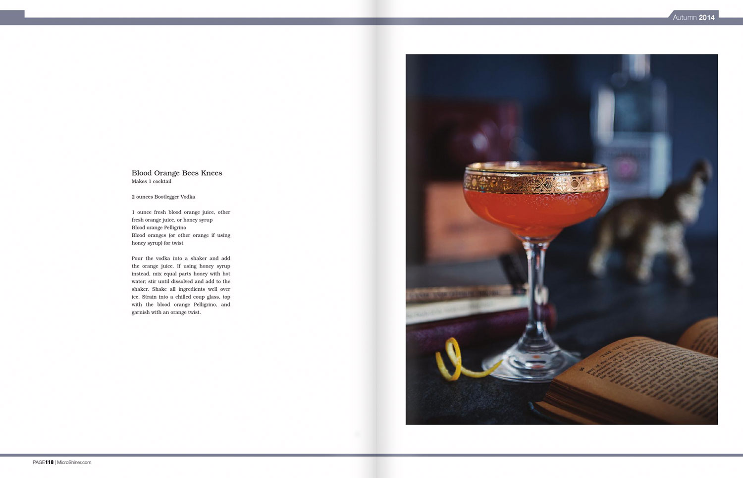 Microshiner magazine