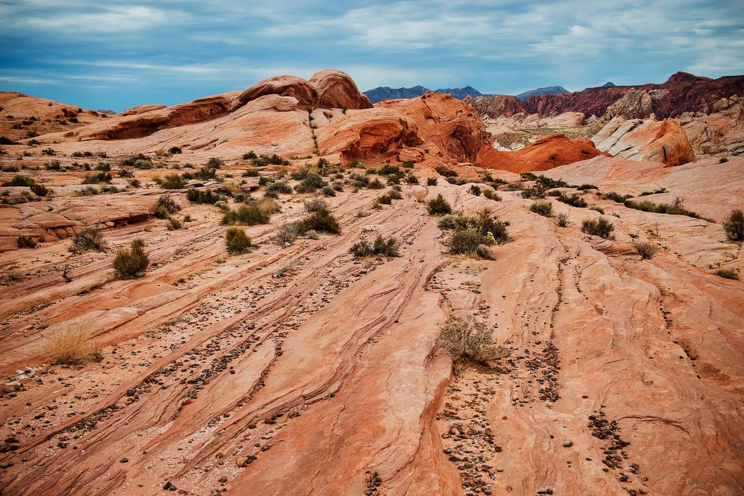Valley_of_fire_050.jpg
