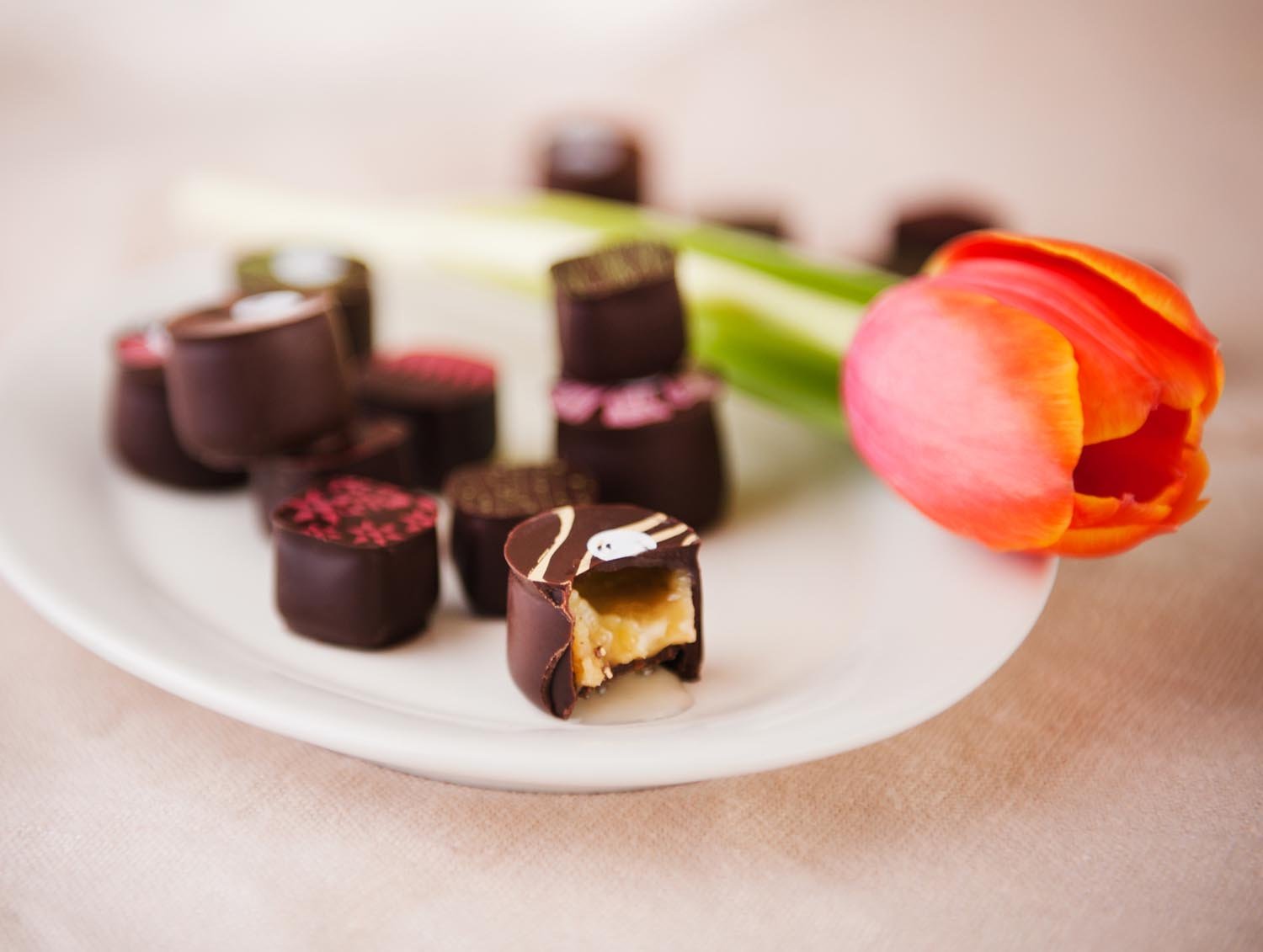334001-04249_Chocolates_for_the_Adventurous_by_Richart_03.jpg