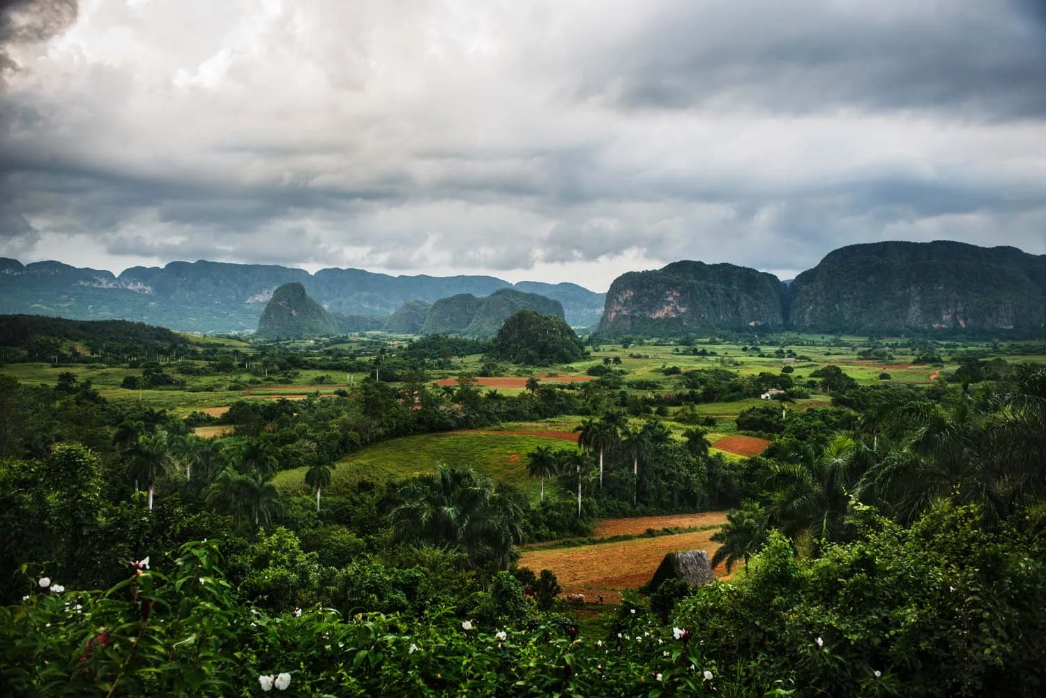Vinales_164.jpg