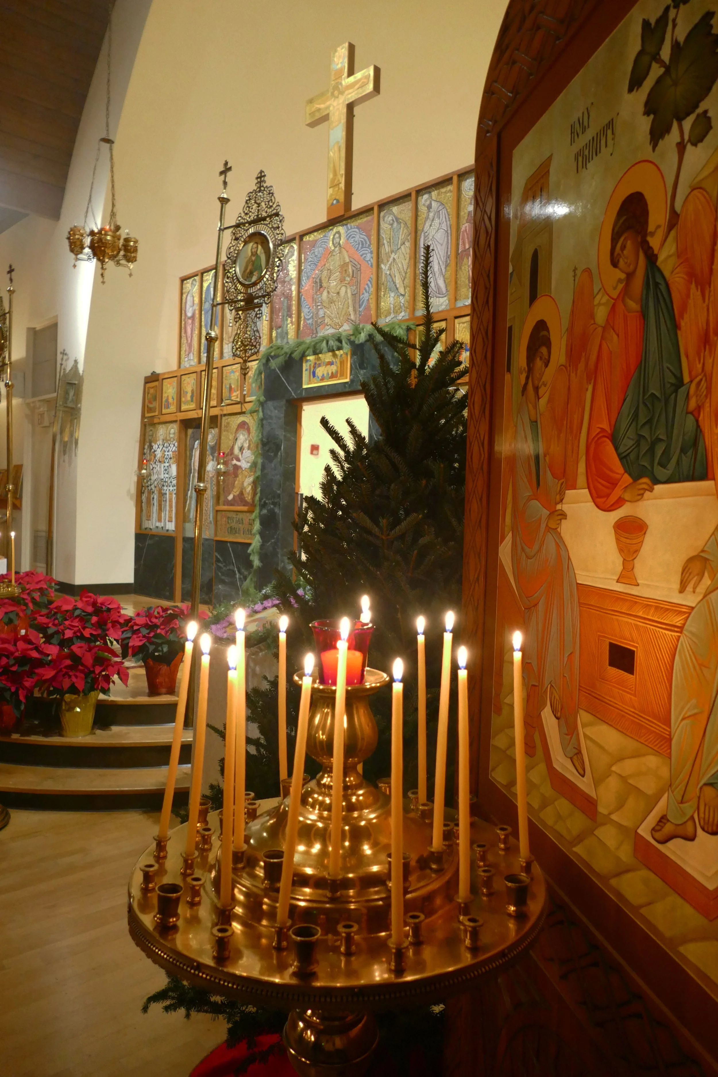 P1020997.JPG