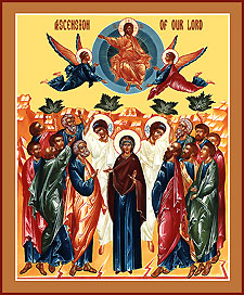 May 25, 2017: The Ascension of our Lord