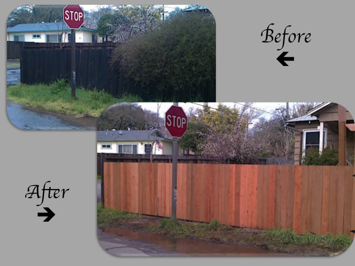 Replace Fence