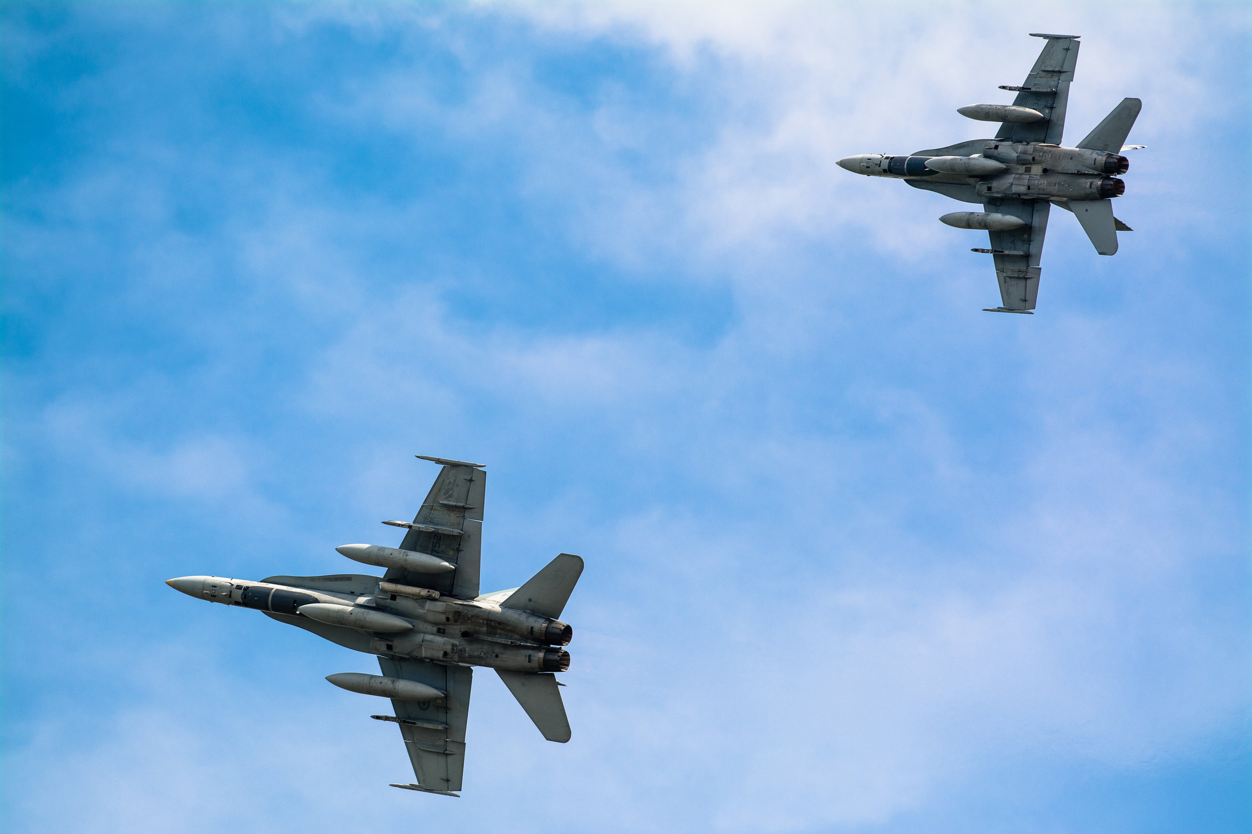 McDonnell Douglas CF-18 Hornet