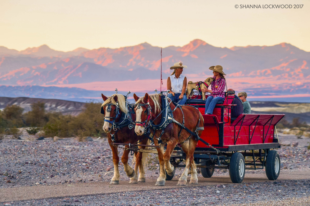 Nov 7, 2017; Death Valley, CA, USA; Horses pull a wagon as the sun sets in Death Valley. Copyright: Shanna Lockwood 