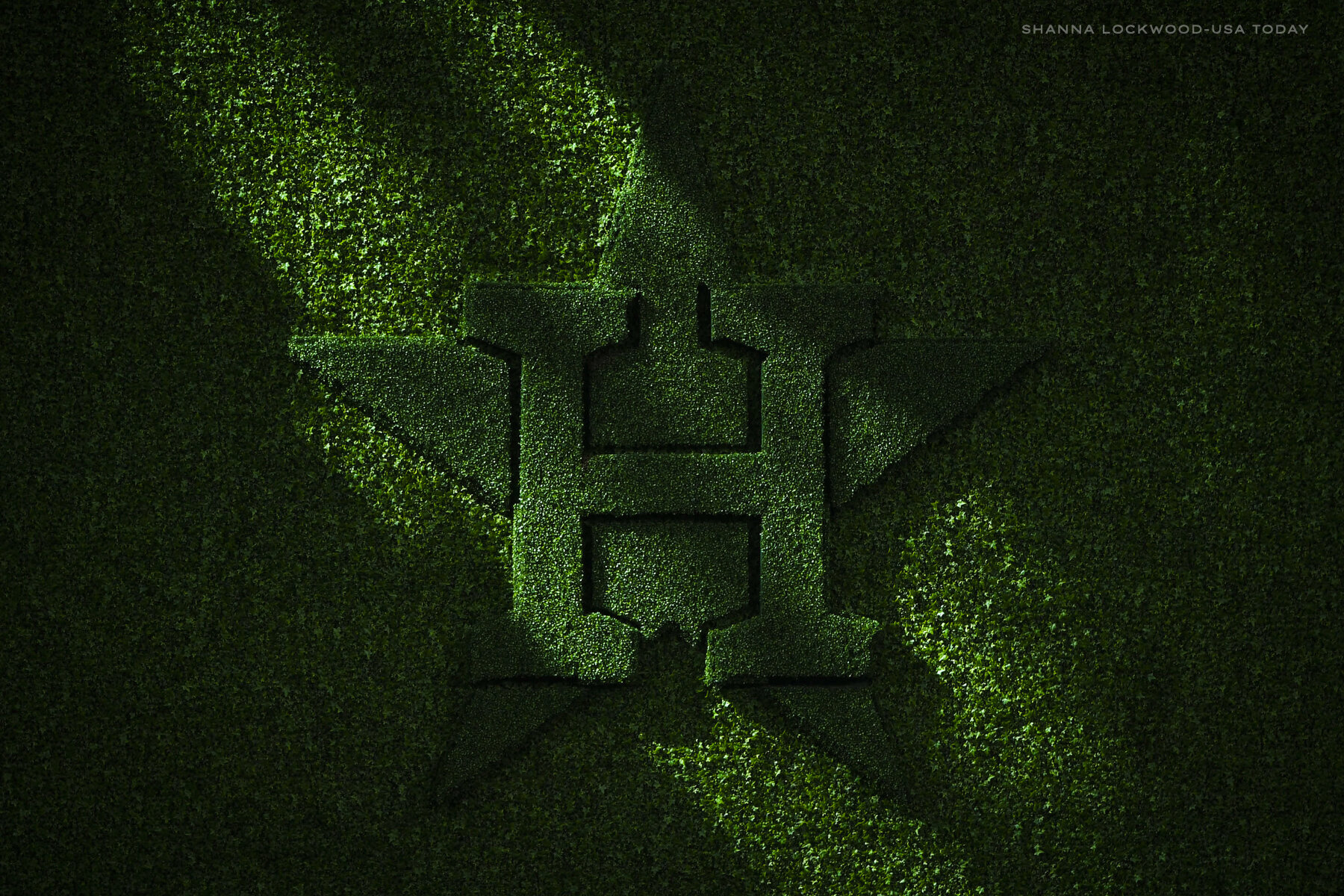  Oct 4, 2017; Houston, TX, USA; View of the Houston Astros ivy logo during workouts at Minute Maid Park. Mandatory Credit: Shanna Lockwood-USA TODAY Sports 