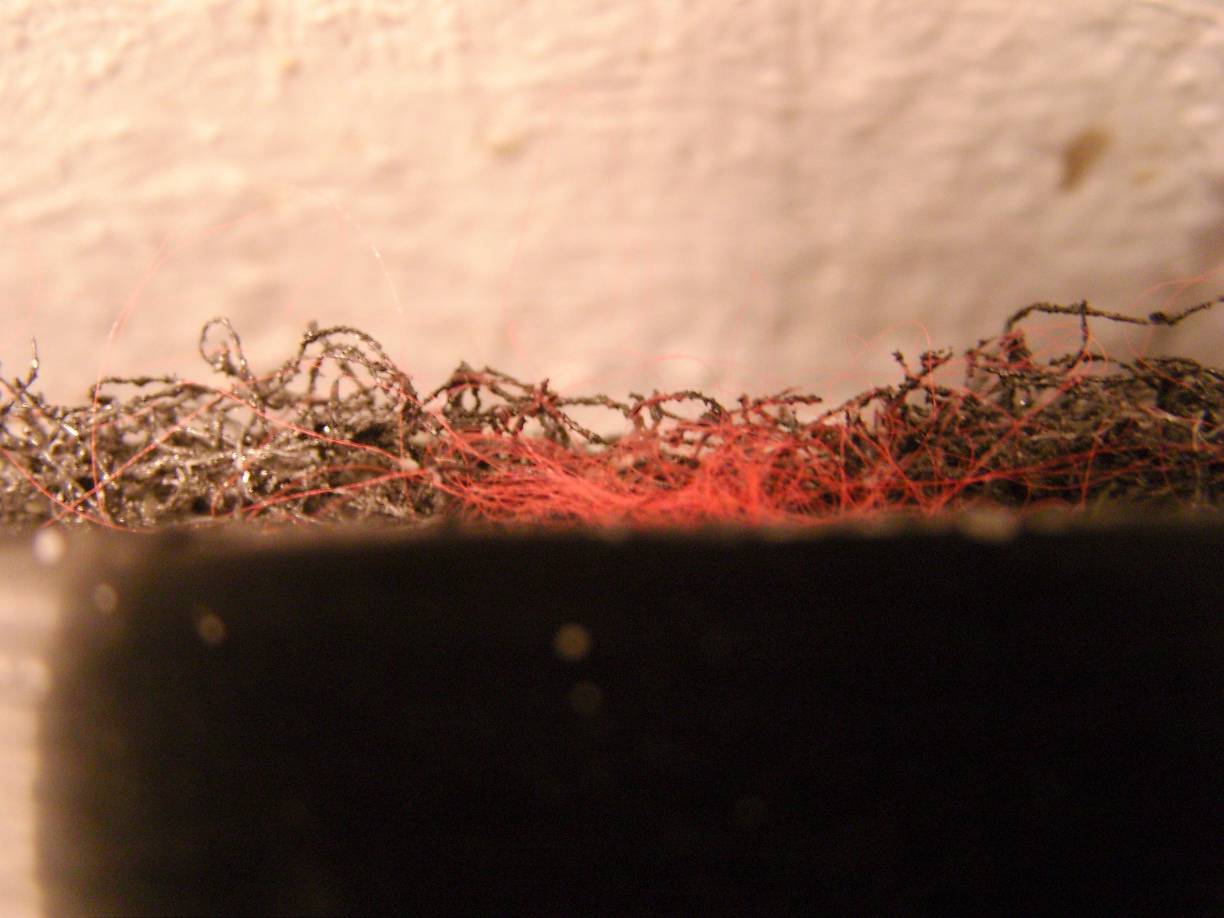macrofuzz.jpeg