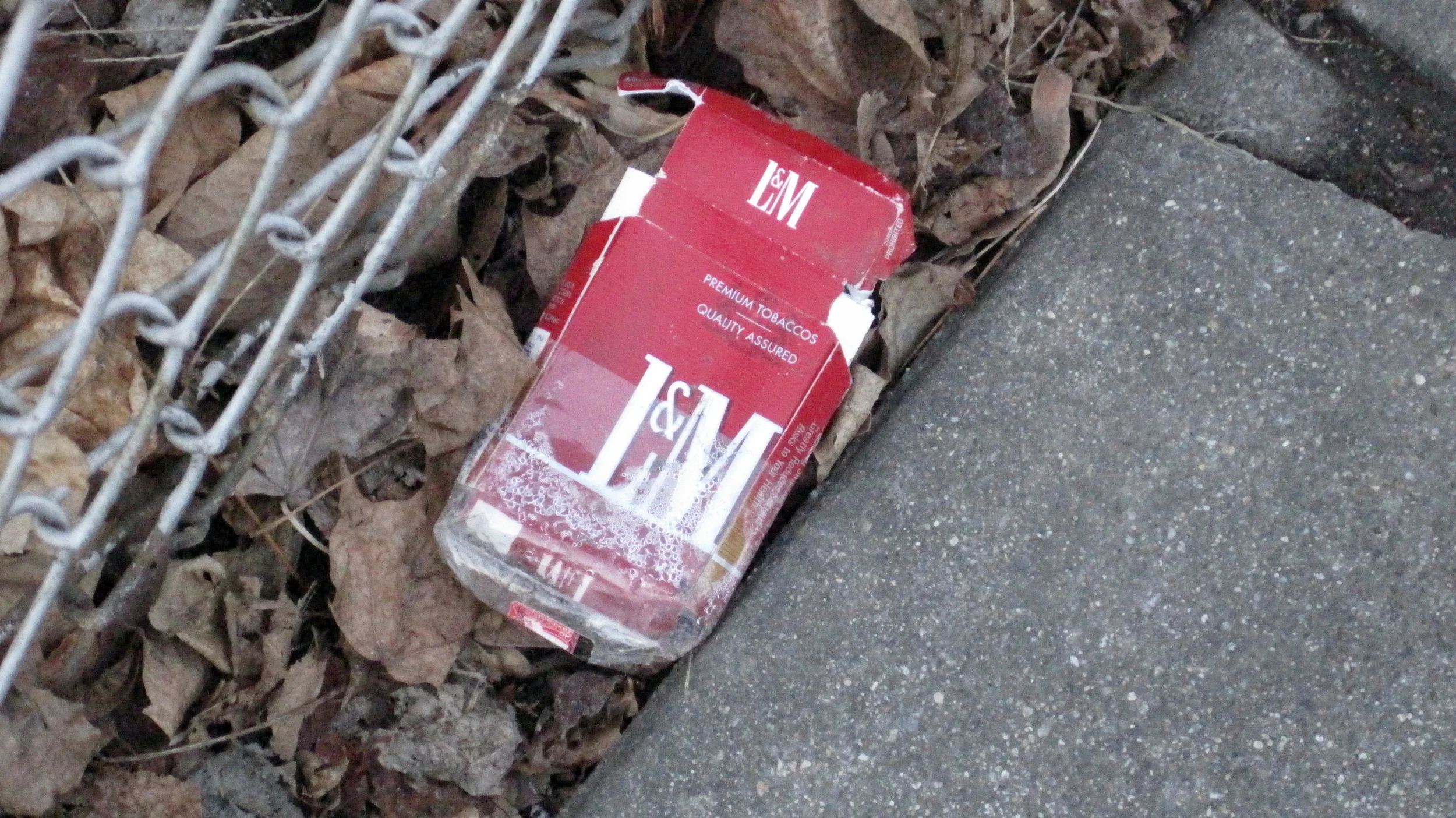 SEEING_RED_DETAIL21 copy.JPG