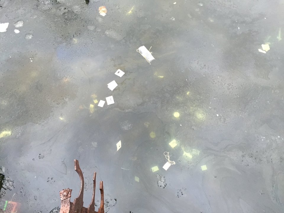 viewfromabove.jpg