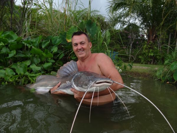 CATFISHING