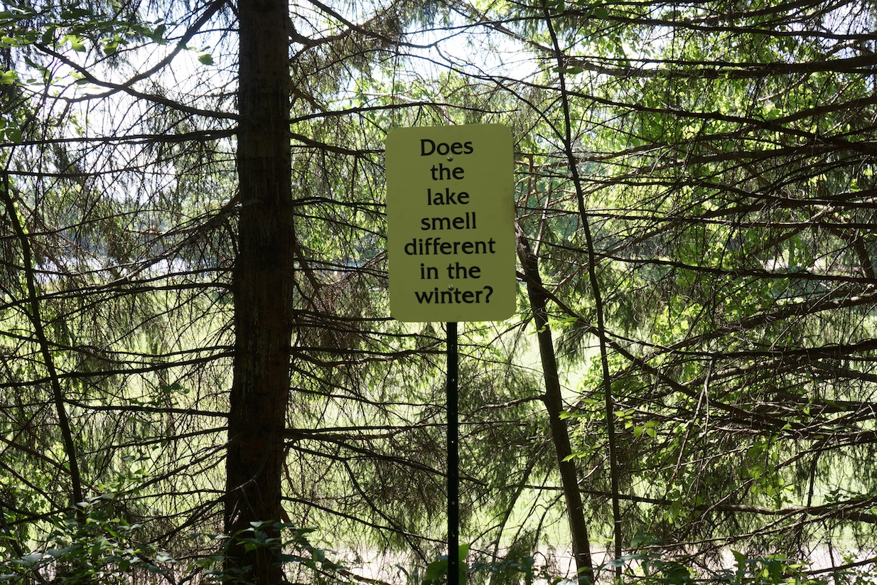 lake72.jpeg