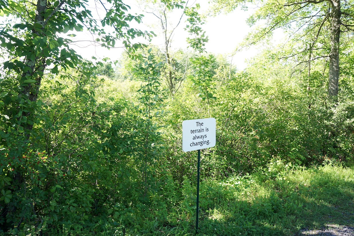 Terrain72.jpeg