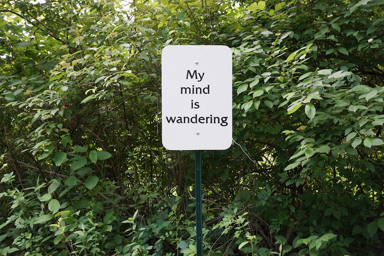 mindwander72.jpeg
