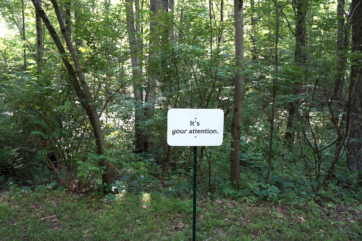 attention72.jpeg