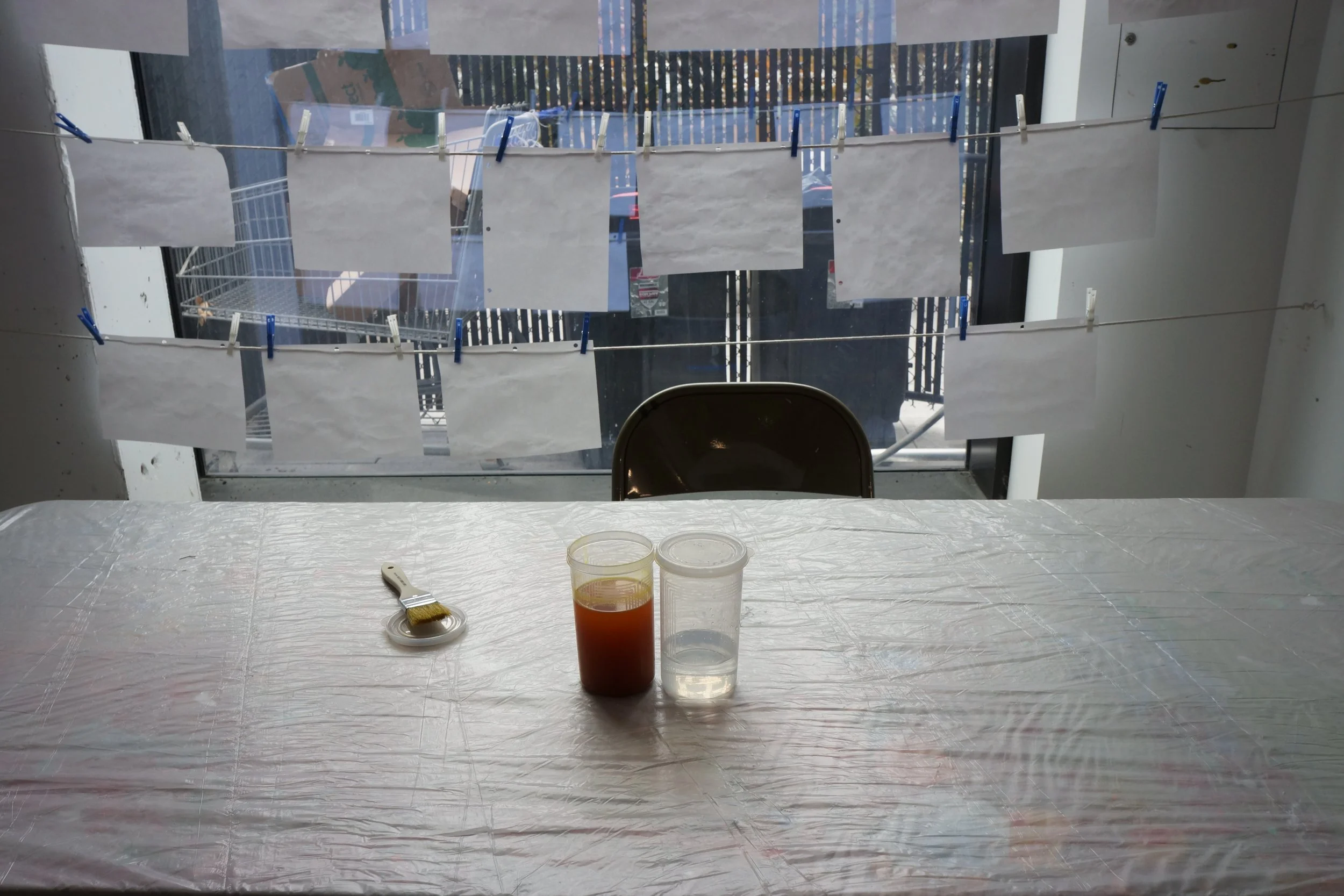 DSC06737also good.JPG