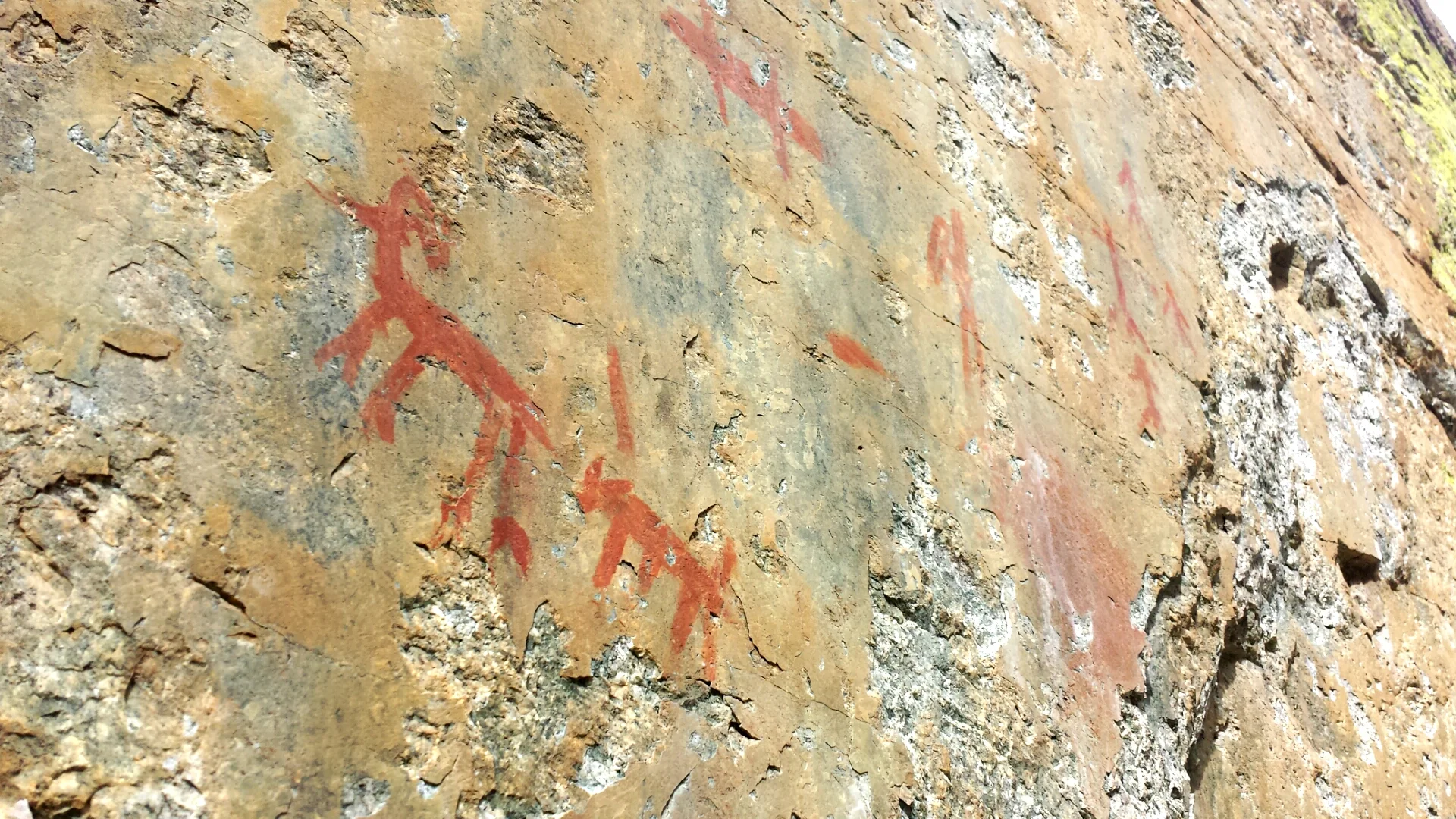 2014-10-05 09.57.02.jpg