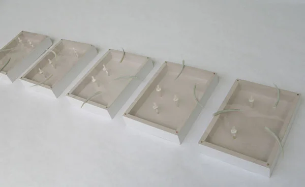 Earth and Sea Reflection Boxes