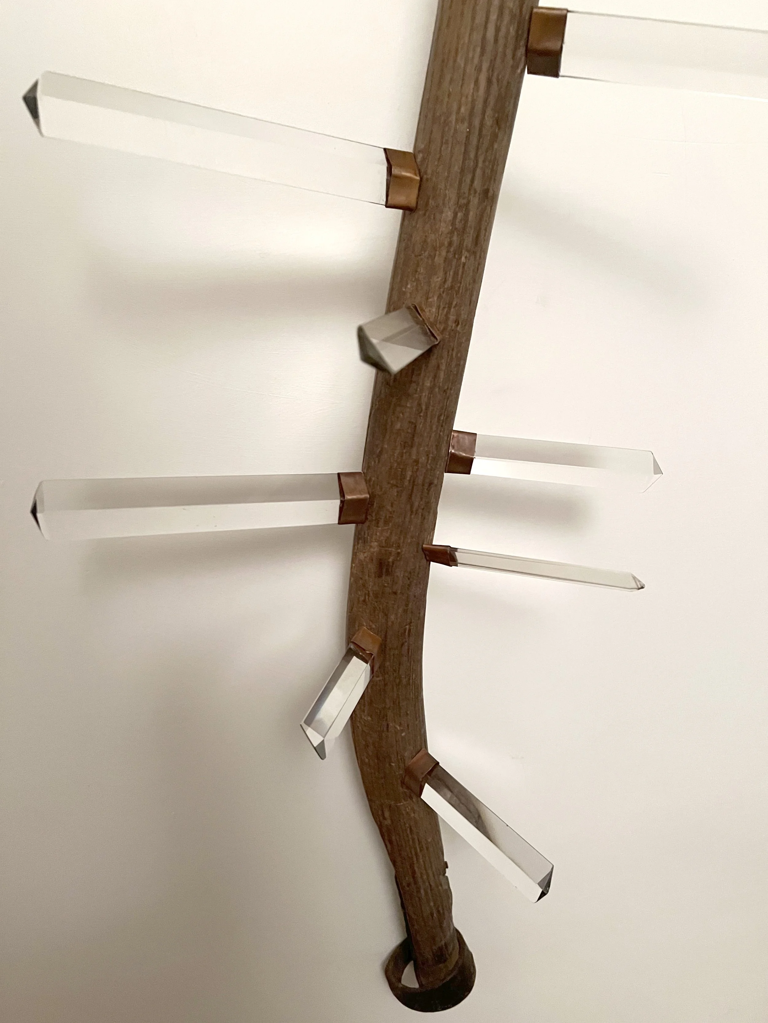 Field Reflections -detail