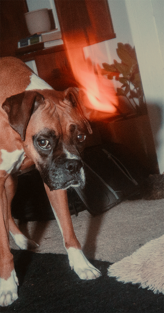 IMG_1399Test.gif